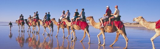 cable_beach_camel-ride